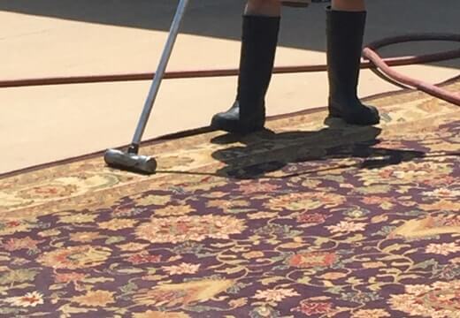 Oriental Rug Dusting