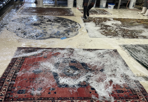 Oriental Rug Cleaning