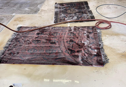 Oriental Rug Cleaning Service Process