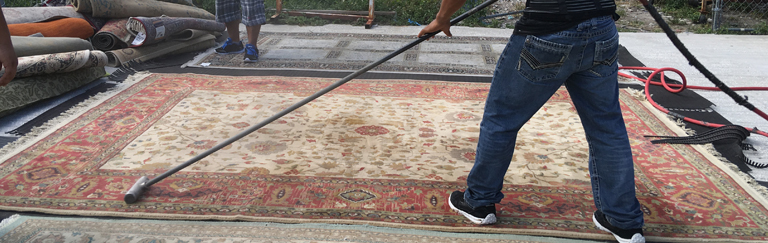 Oriental Rug Dust Cleaning Process