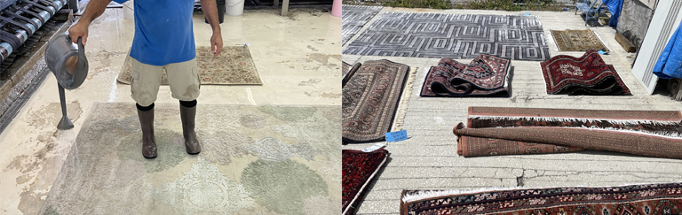 Sisal Rug Cleaning Service