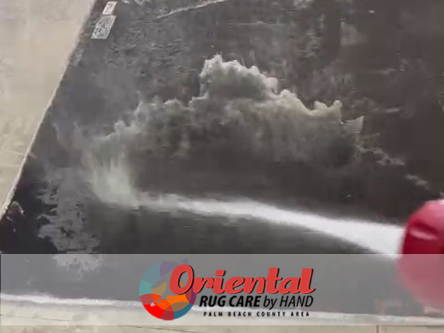 Area Rug Cleaning
