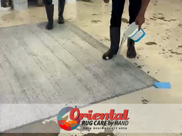 Persian Rug Cleaning Service