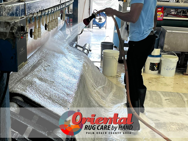 Sisal Rug Cleaning Service